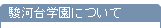 �x�͑�w���ɂ���